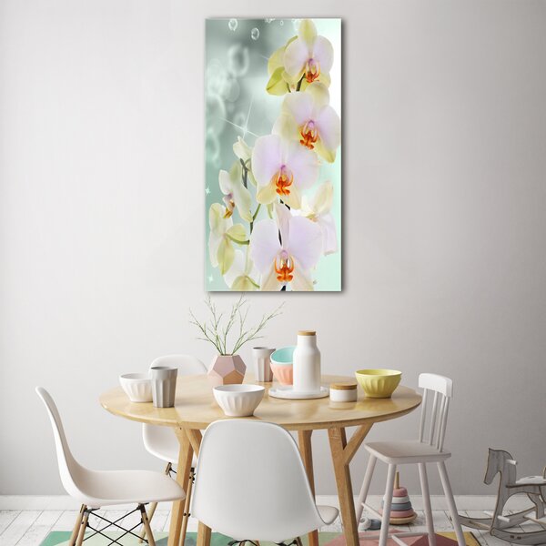 Vertikální Foto-obrah sklo tvrzené Orchidej osv-91133337