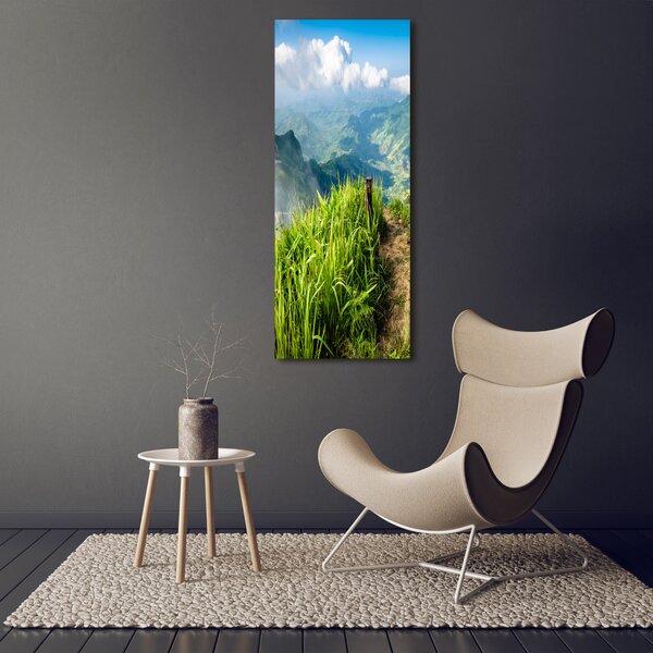 Vertikální Foto obraz canvas Horská stezka ocv-91416067