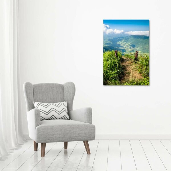 Vertikální Foto obraz canvas Horská stezka ocv-91416067