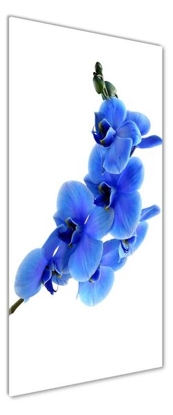 Vertikální Fotoobraz na skle Modrá orchidej osv-91549599