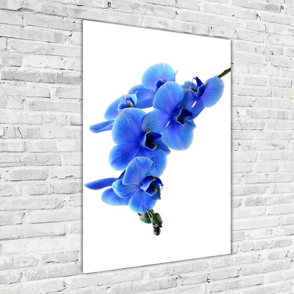 Vertikální Fotoobraz na skle Modrá orchidej osv-91549599