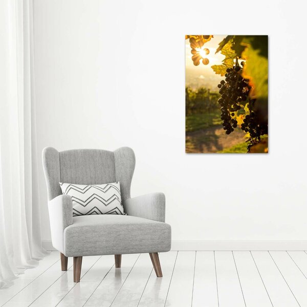 Vertikální Moderní obraz canvas na rámu Vinice ocv-92882474