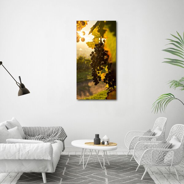 Vertikální Moderní obraz canvas na rámu Vinice ocv-92882474