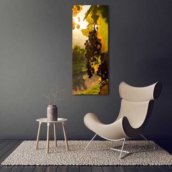 Vertikální Moderní obraz canvas na rámu Vinice ocv-92882474