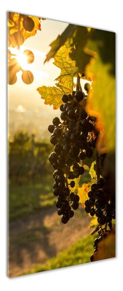 Vertikální Foto-obraz fotografie na skle Vinice osv-92882474