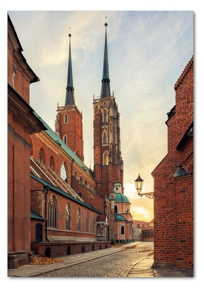 Vertikální Foto obraz fotografie na skle Vratislav Polsko osv-94959341