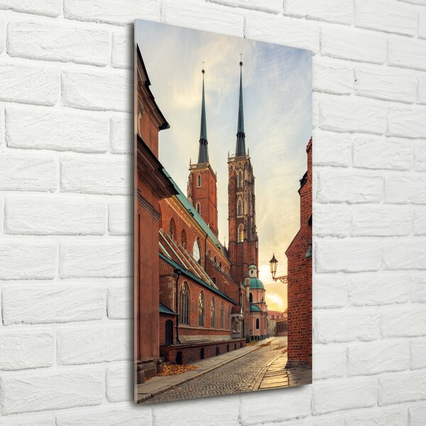 Vertikální Foto obraz fotografie na skle Vratislav Polsko osv-94959341
