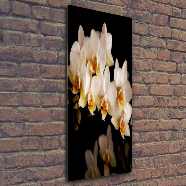 Vertikální Foto-obrah sklo tvrzené Orchidej osv-95410450