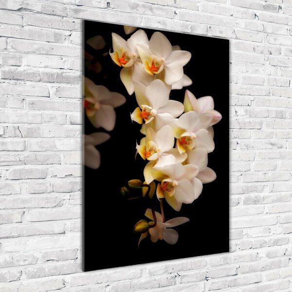 Vertikální Foto-obrah sklo tvrzené Orchidej osv-95410450