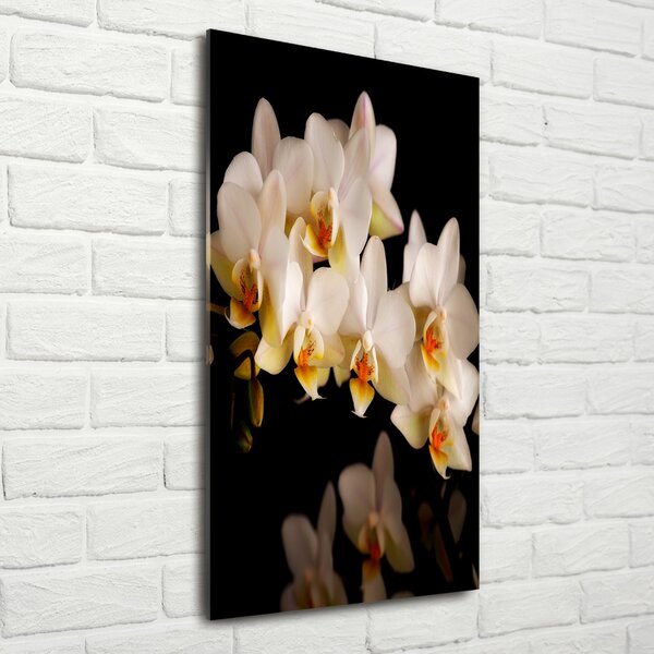 Vertikální Foto-obrah sklo tvrzené Orchidej osv-95410450