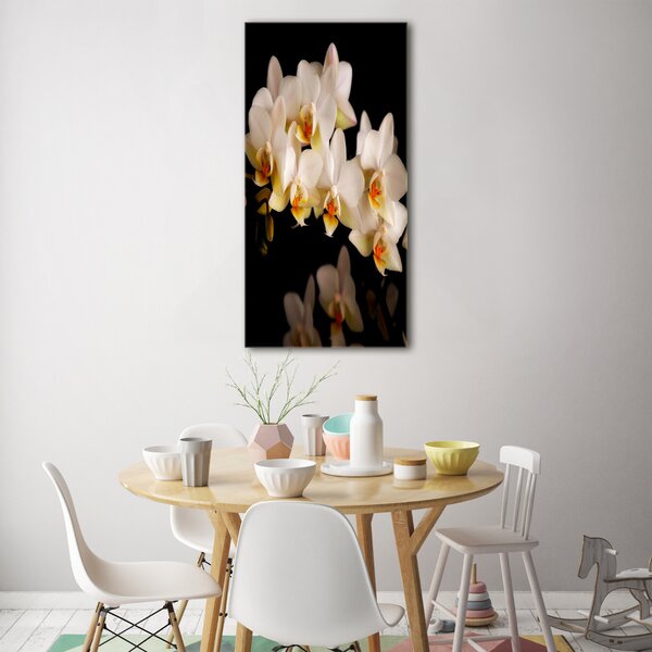 Vertikální Foto-obrah sklo tvrzené Orchidej osv-95410450