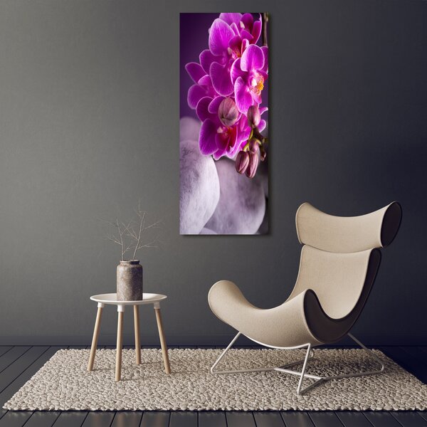 Vertikální Foto obraz na plátně Růžová orchidej ocv-95985968