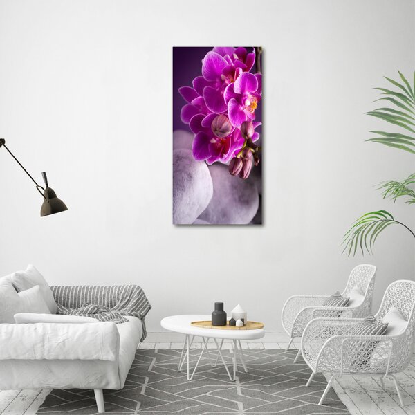 Vertikální Foto obraz na plátně Růžová orchidej ocv-95985968