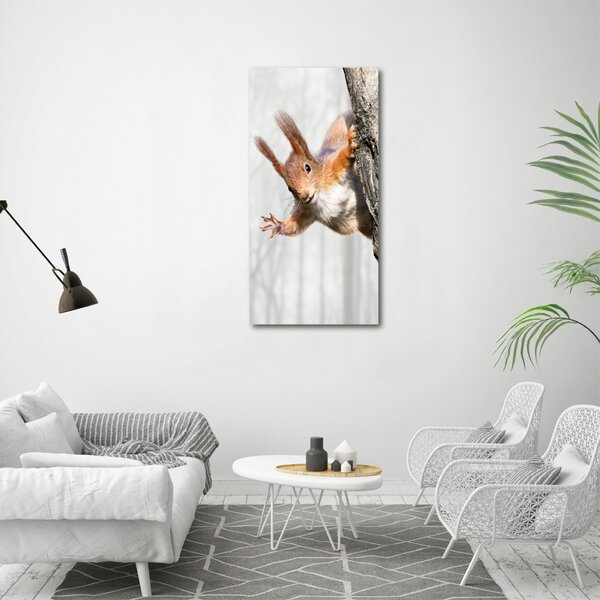 Vertikální Foto obraz canvas Veverka na stromě ocv-97008260