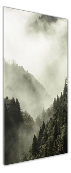 Vertikální Foto obraz fotografie na skle Mlha nad lesem osv-98626353