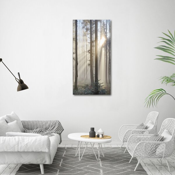 Vertikální Foto obraz canvas Mlha v lese ocv-98968412