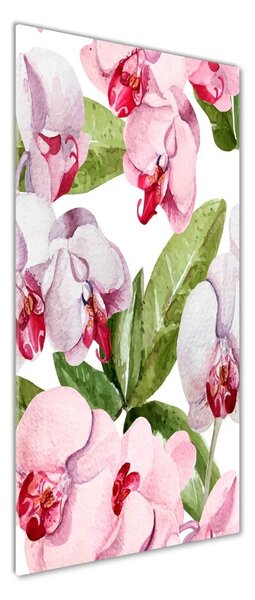 Vertikální Foto-obrah sklo tvrzené Orchidej osv-98952398