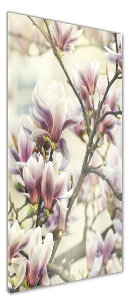 Vertikální Foto-obrah sklo tvrzené Magnolie osv-99199338