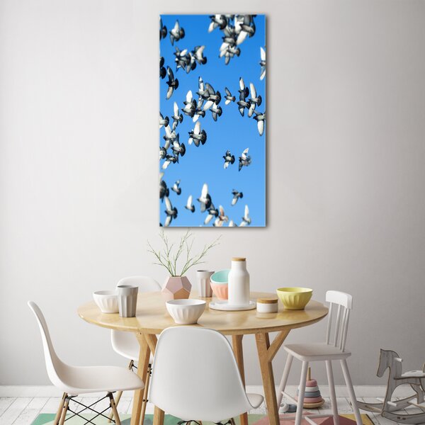 Vertikální Fotoobraz na skle Holubi na nebi osv-99282619