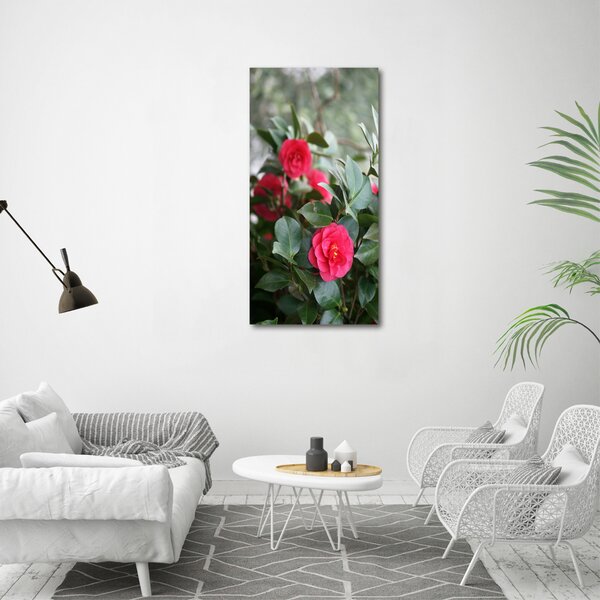 Vertikální Moderní obraz canvas na rámu Kamélie ocv-99414175