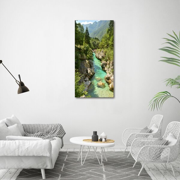 Vertikální Foto obraz canvas Horský potok ocv-99672886