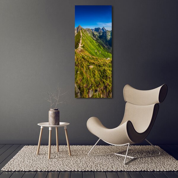 Vertikální Foto obraz tištěný na plátně Tatry ocv-99701533