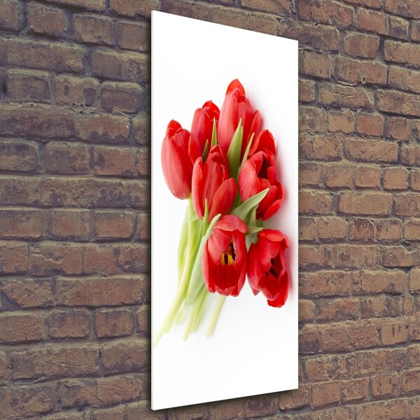 Vertikální Fotoobraz na skle Červené tulipány osv-99817079