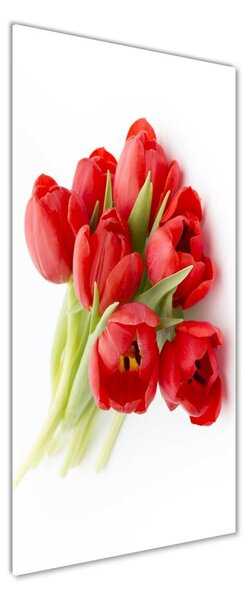 Vertikální Fotoobraz na skle Červené tulipány osv-99817079