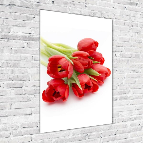 Vertikální Fotoobraz na skle Červené tulipány osv-99817079
