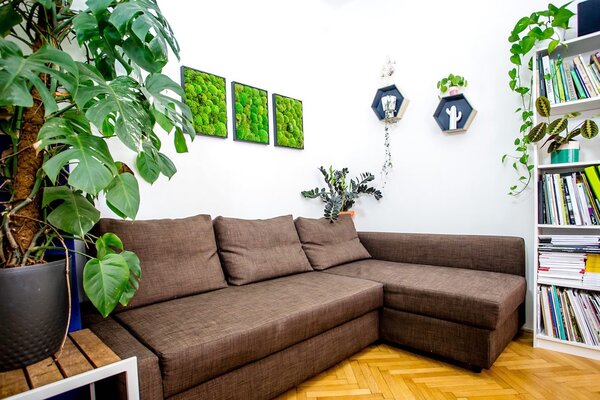 Set 3 mechových obrazů 13x18 z kopečkového mechu, černá +