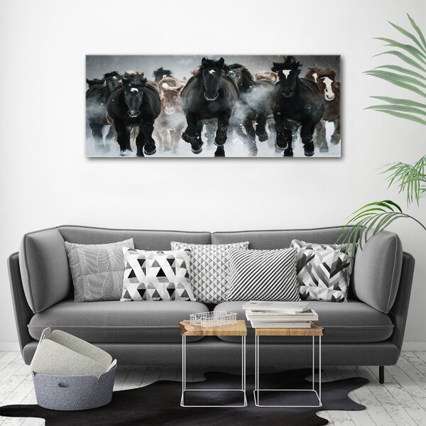 Moderní fotoobraz canvas na rámu Koně ve cvalu oc-100599120