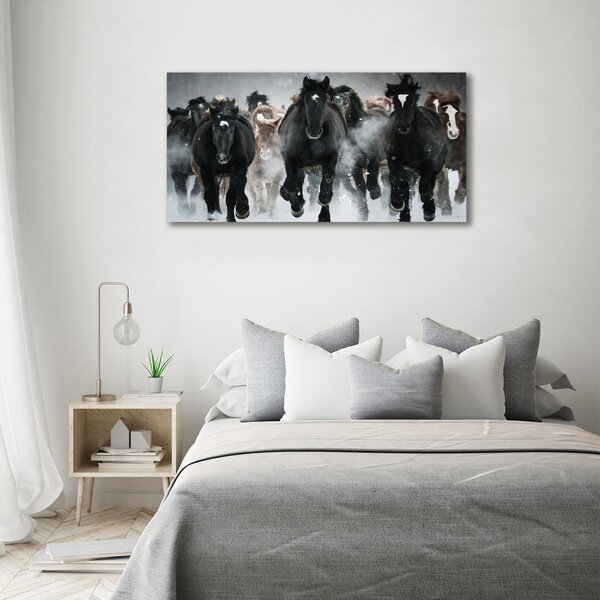 Moderní fotoobraz canvas na rámu Koně ve cvalu oc-100599120