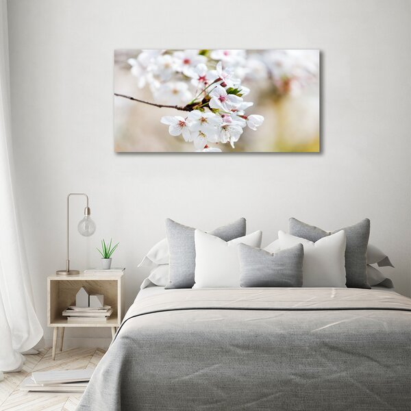 Moderní obraz canvas na rámu Květy višně oc-100965392