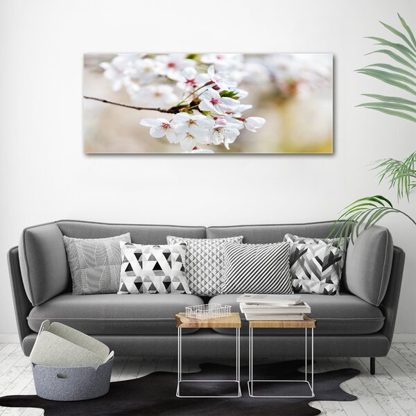 Moderní obraz canvas na rámu Květy višně oc-100965392