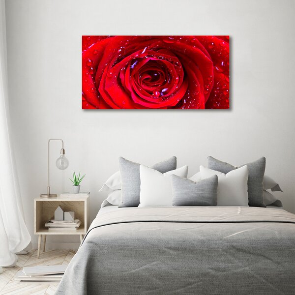 Foto obraz canvas Květ růže oc-100979783