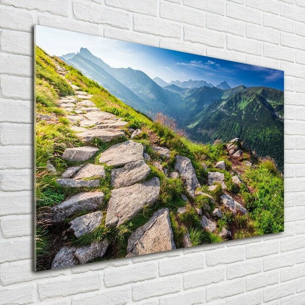 Foto obraz fotografie na skle Východ slunde Tatry osh-101364887