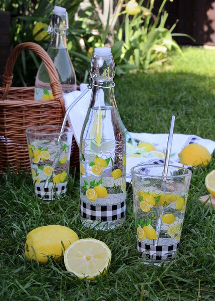 Toro Skleněná láhev s patentním uzávěrem 540ml citron
