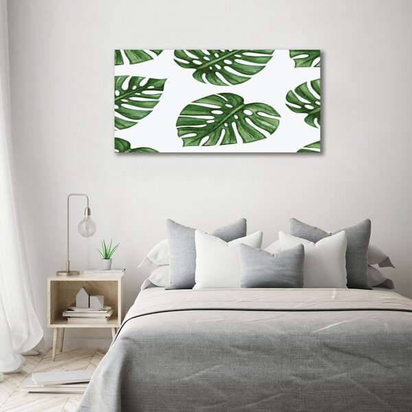 Foto obraz na plátně Monstera oc-101795652