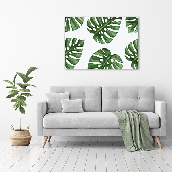 Foto obraz na plátně Monstera oc-101795652