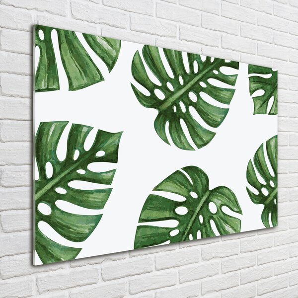 Foto obraz skleněný horizontální Monstera osh-101795652