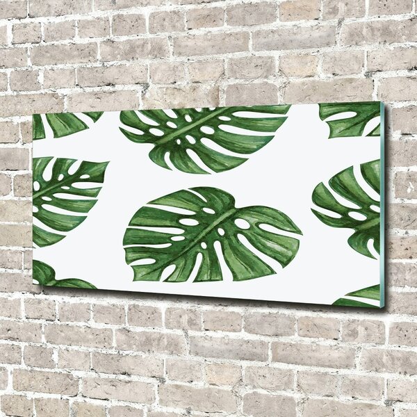 Foto obraz skleněný horizontální Monstera osh-101795652