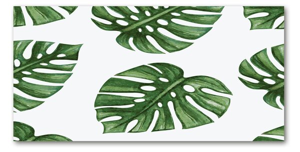 Foto obraz skleněný horizontální Monstera osh-101795652