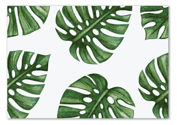 Foto obraz skleněný horizontální Monstera osh-101795652