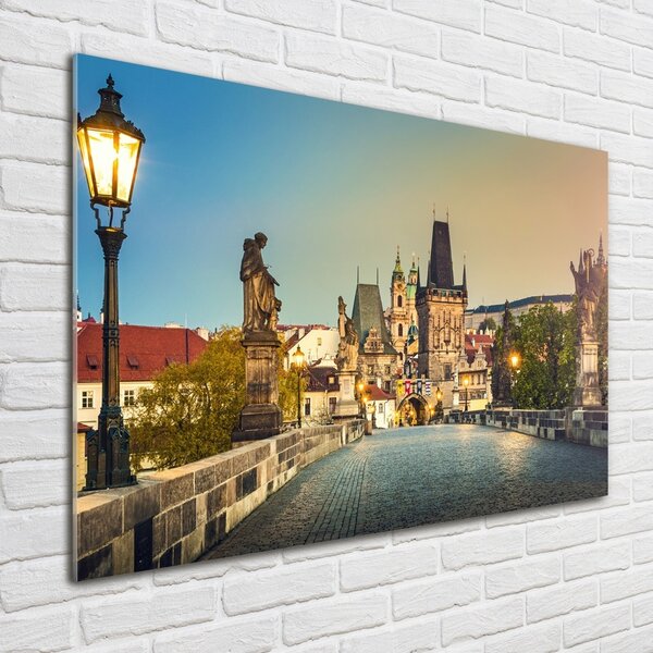 Foto-obraz fotografie na skle Most Praha osh-101827569