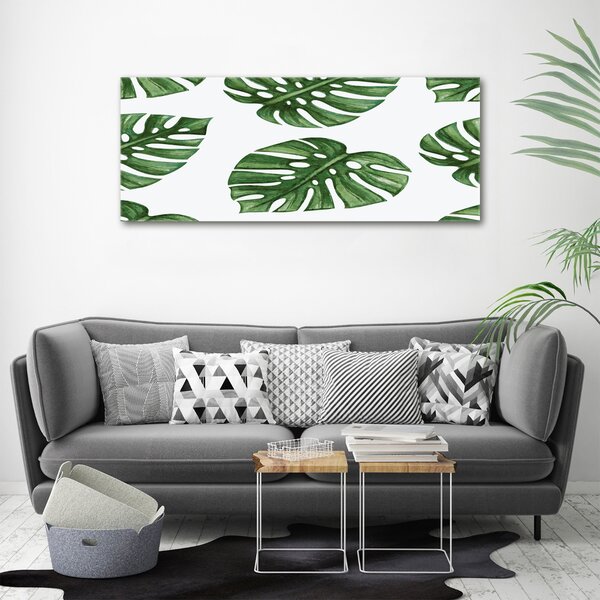 Foto obraz na plátně Monstera oc-101795652