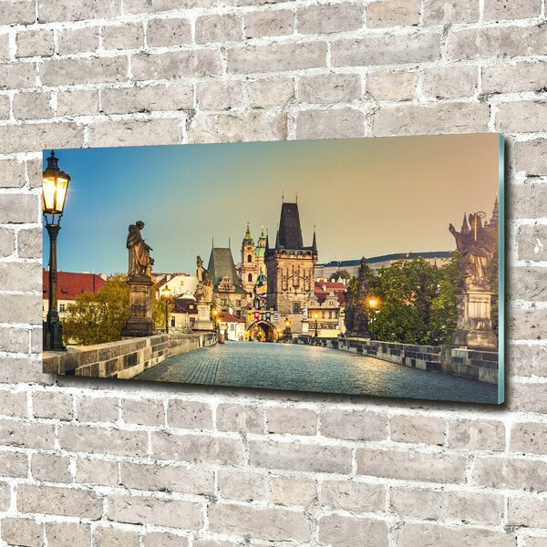 Foto-obraz fotografie na skle Most Praha osh-101827569