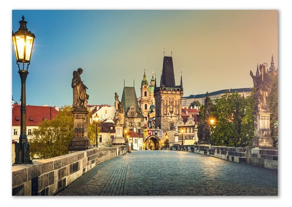 Foto-obraz fotografie na skle Most Praha osh-101827569
