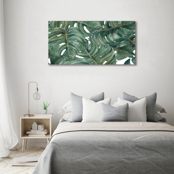 Foto obraz na plátně Monstera oc-101969533