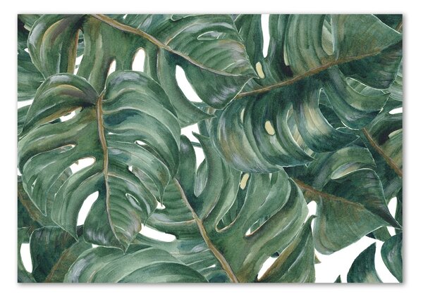 Fotoobraz na skle Monstera osh-101969533