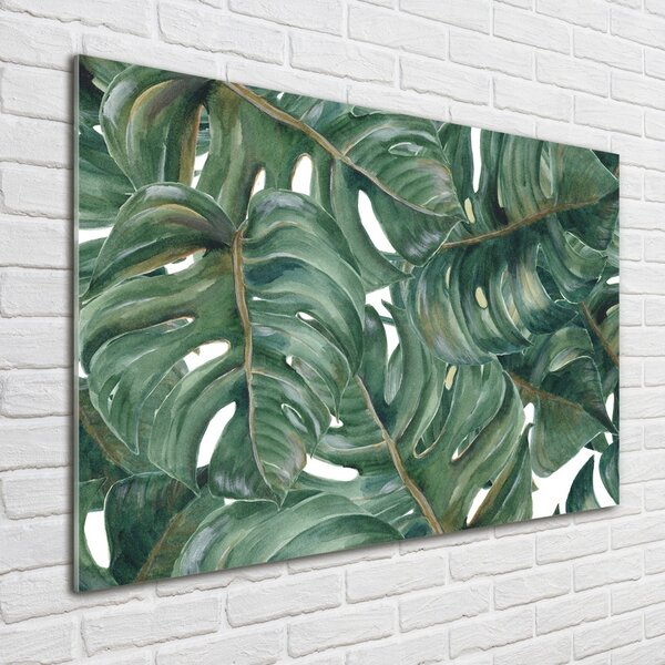 Fotoobraz na skle Monstera osh-101969533